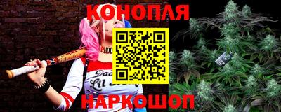 соль ск Гагарин