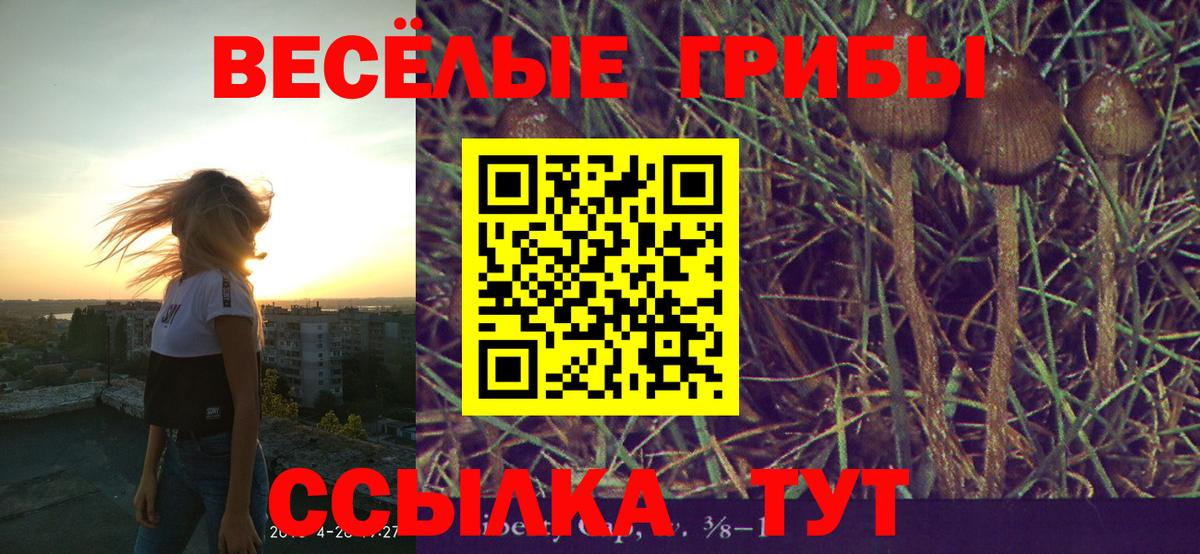 Новоалтайск  Псилоцибиновые грибы мицелий  Псилоцибиновые грибы Psilocybe  Вход с VPN 